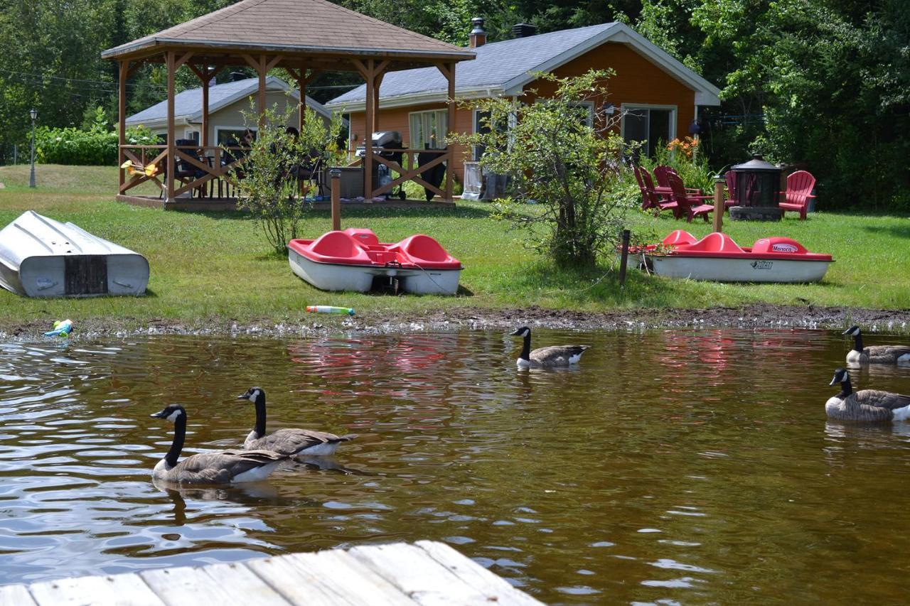Les 4 Chalets - Le 605 Lac-Saint-Paul Exteriör bild